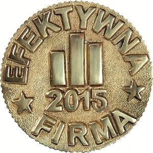 Efektywna Firma 2015