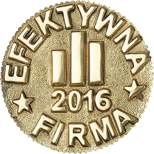 Efektywna Firma 2016