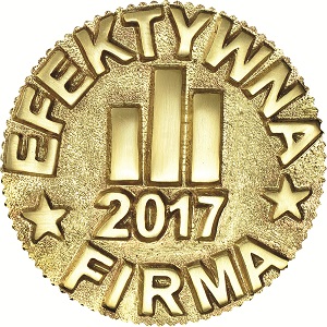 Efektywna Firma 2017