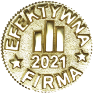 efektywna firma 56